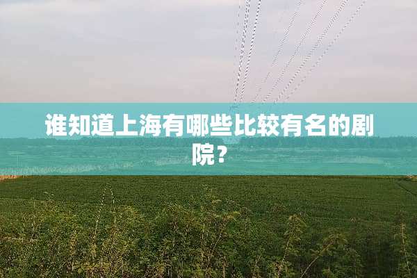 谁知道上海有哪些比较有名的剧院？
