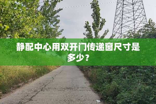 静配中心用双开门传递窗尺寸是多少？