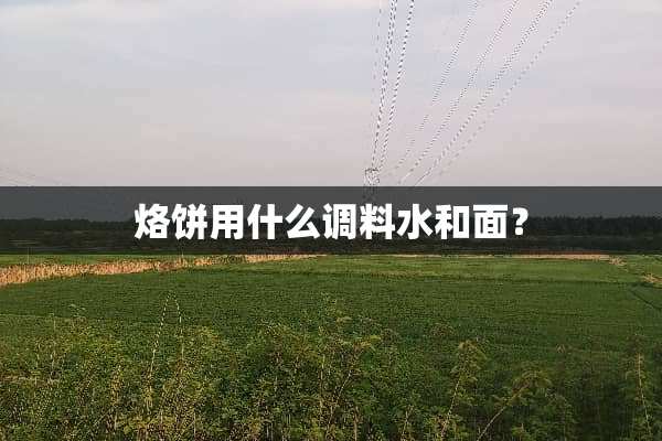 烙饼用什么调料水和面？