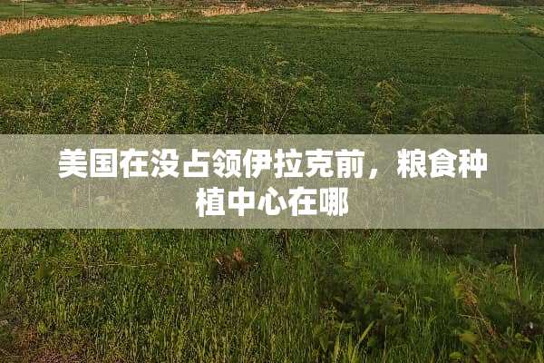 美国在没占领伊拉克前，粮食种植中心在哪