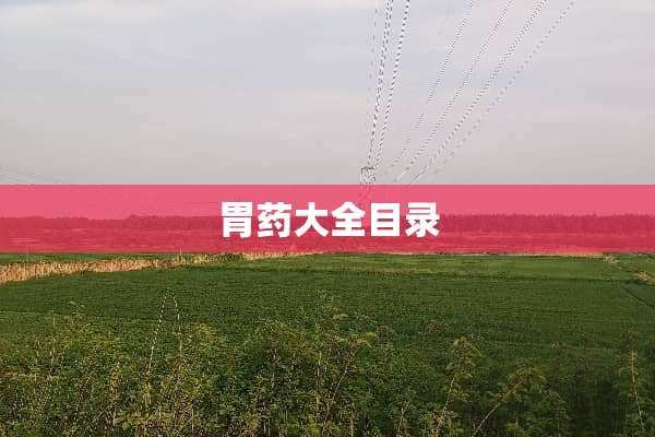 胃药大全目录