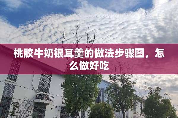 桃胶牛奶银耳羹的做法步骤图，怎么做好吃