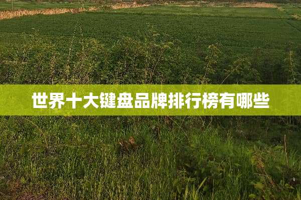 世界十大键盘品牌排行榜有哪些