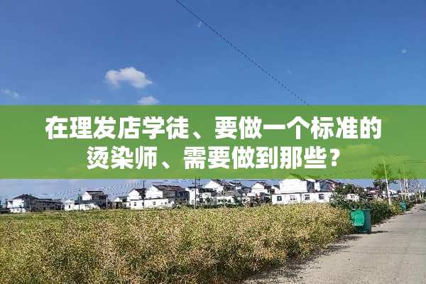 在理发店学徒、要做一个标准的烫染师、需要做到那些？