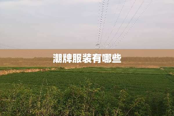 潮牌服装有哪些