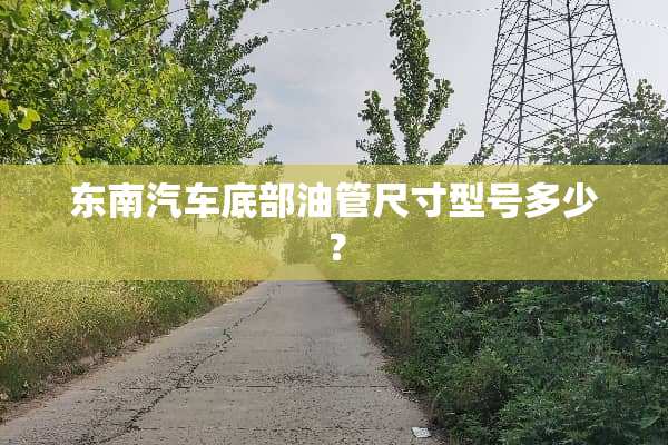 东南汽车底部油管尺寸型号多少？