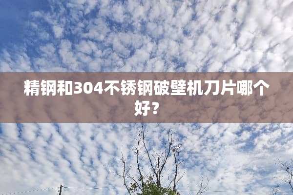 精钢和304不锈钢破壁机刀片哪个好？