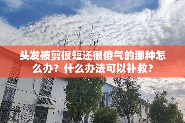 头发被剪很短还很傻气的那种怎么办？什么办法可以补救？