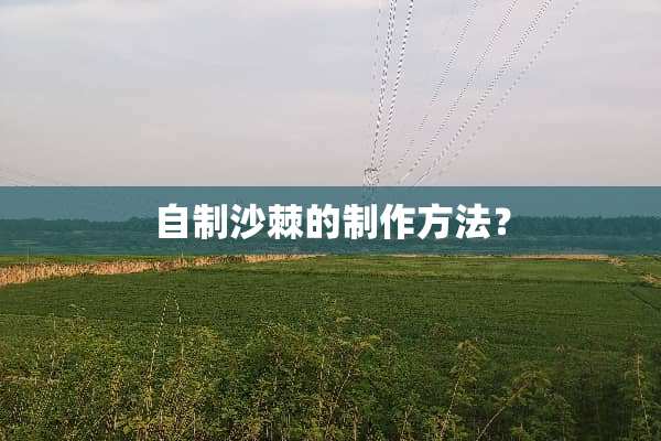 自制沙棘的制作方法？