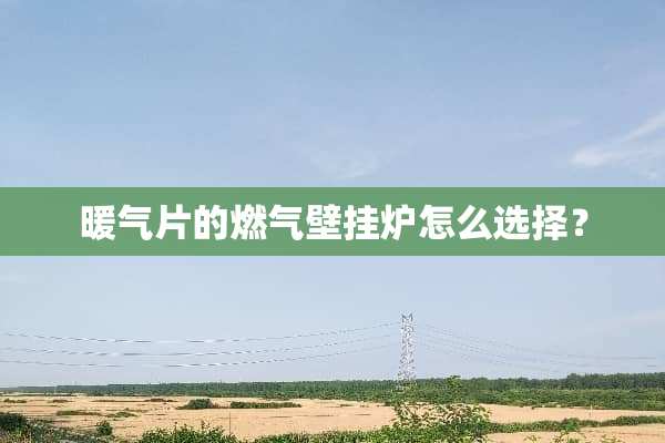 暖气片的燃气壁挂炉怎么选择？