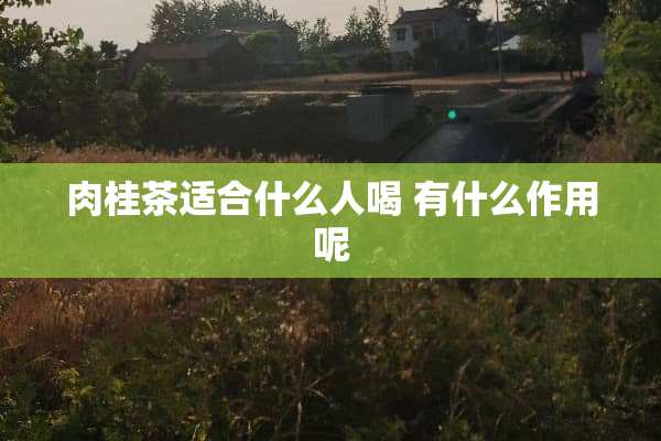 肉桂茶适合什么人喝 有什么作用呢