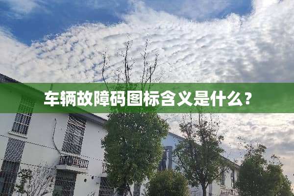 车辆故障码图标含义是什么？