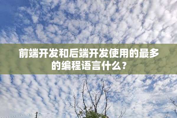前端开发和后端开发使用的最多的编程语言什么？