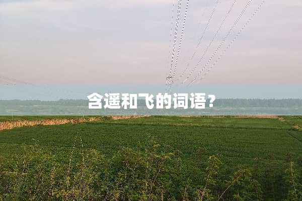 含遥和飞的词语？