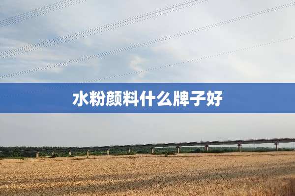 水粉颜料什么牌子好