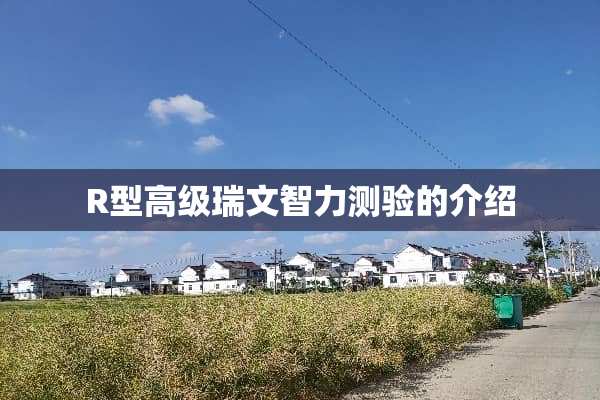 R型高级瑞文智力测验的介绍