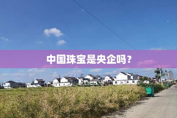 中国珠宝是央企吗？
