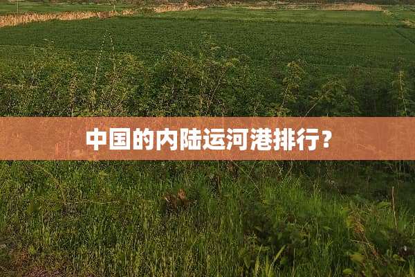中国的内陆运河港排行？