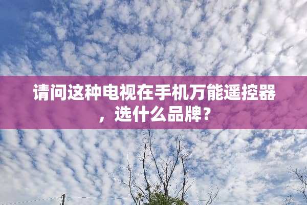 请问这种电视在手机万能***，选什么品牌？