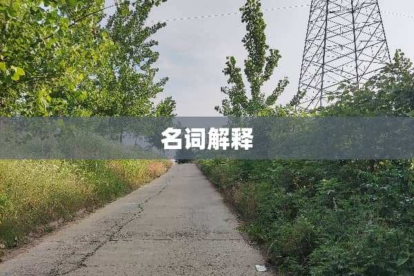 名词解释