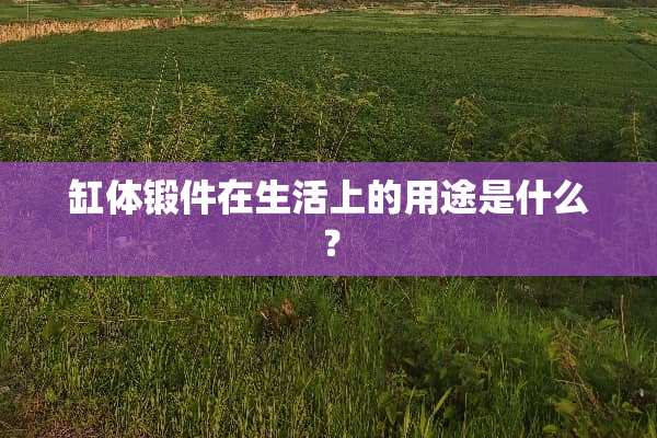 缸体锻件在生活上的用途是什么？