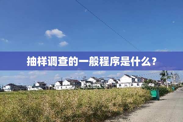 抽样调查的一般程序是什么？