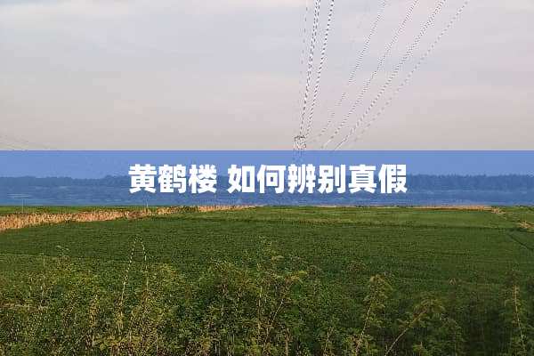 黄鹤楼 如何辨别真假