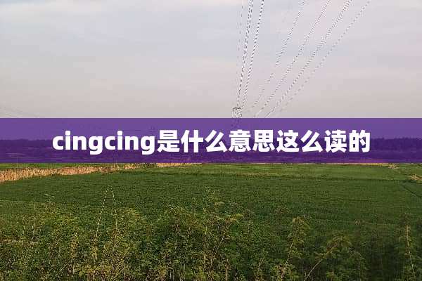 cingcing是什么意思这么读的