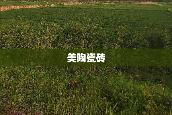 美陶瓷砖