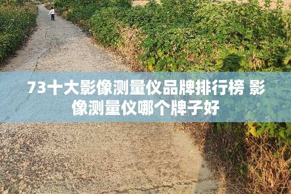73十大影像测量仪品牌排行榜 影像测量仪哪个牌子好