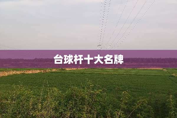 台球杆十大名牌