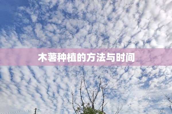 木薯种植的方法与时间