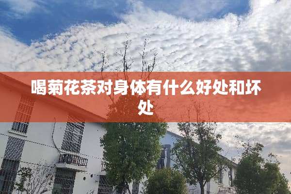 喝菊花茶对身体有什么好处和坏处