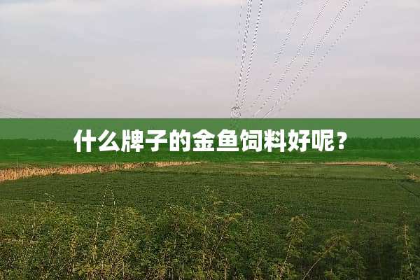 什么牌子的金鱼饲料好呢？