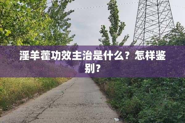 *羊藿功效主治是什么？怎样鉴别？