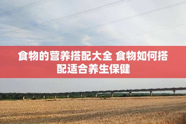 食物的营养搭配大全 食物如何搭配适合养生保健