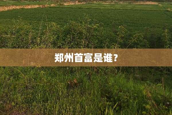 郑州首富是谁？