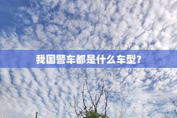 我国警车都是什么车型？