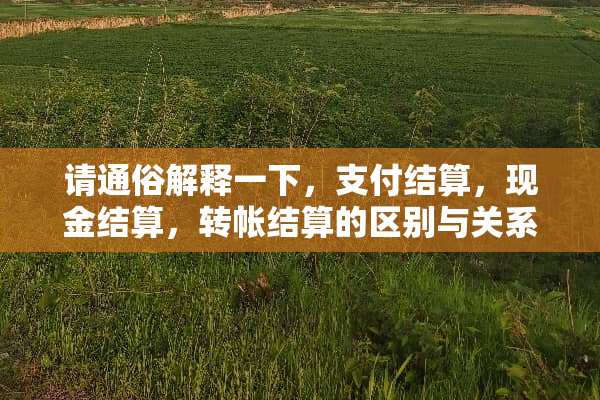 请通俗解释一下，支付结算，现金结算，转帐结算的区别与关系，谢谢？