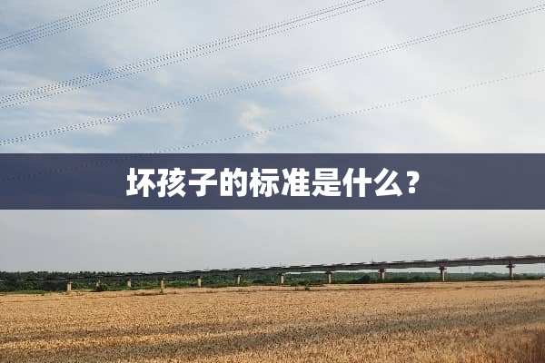 坏孩子的标准是什么？