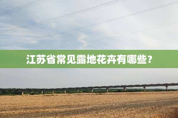 江苏省常见露地花卉有哪些？