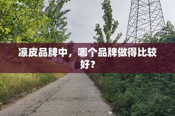 凉皮品牌中，哪个品牌做得比较好？