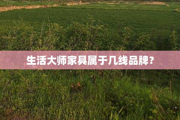 生活大师家具属于几线品牌？