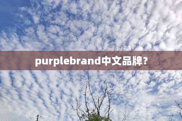 purplebrand中文品牌？