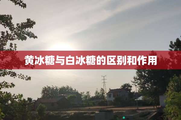 **糖与**糖的区别和作用