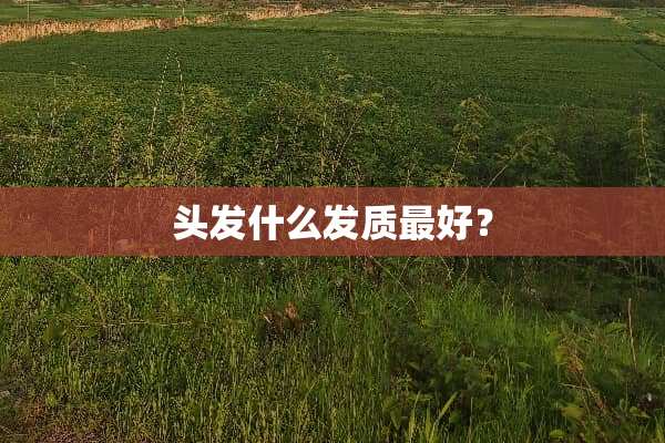 头发什么发质最好？