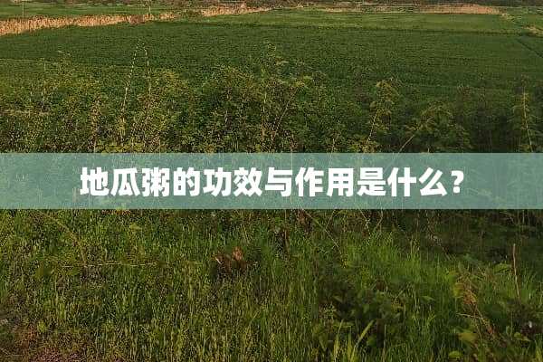 地瓜粥的功效与作用是什么？