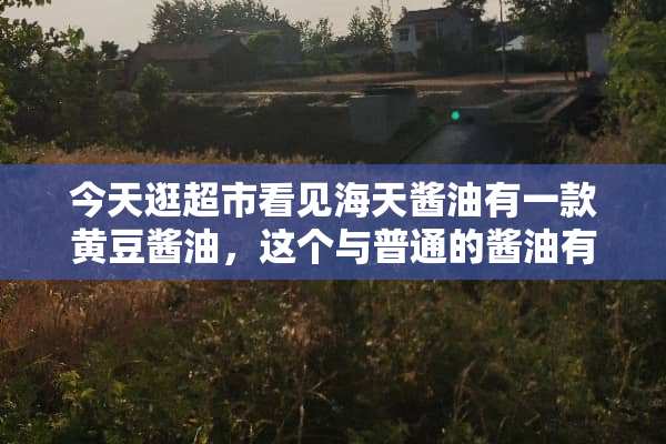 今天逛超市看见海天酱油有一款黄豆酱油，这个与普通的酱油有什么区别？