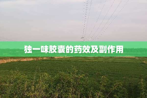 独一味胶囊的药效及副作用