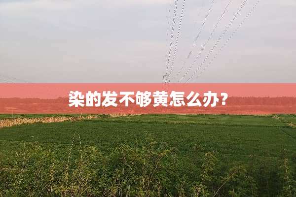 染的发不够黄怎么办？